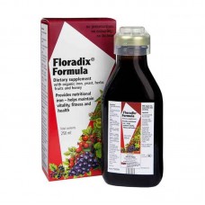 Floradix 铁元 补铁补血口服液 250毫升